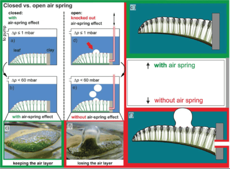 air spring effect 2